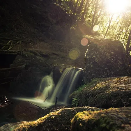 Appartement Schoene, Geraeumige Souterrain Mit Japangarten, Kostenlos Parkplatz *