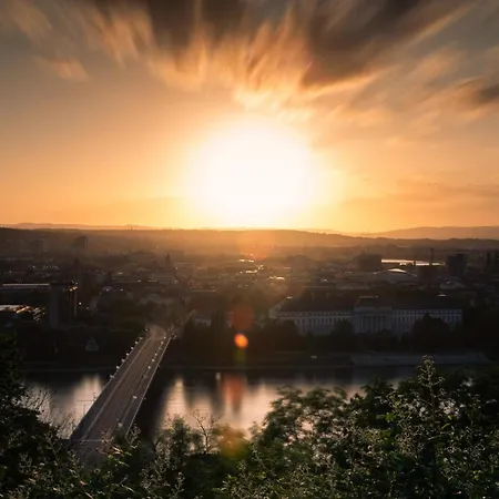 Schoene, Geraeumige Souterrain Mit Japangarten, Kostenlos Parkplatz Appartement *
