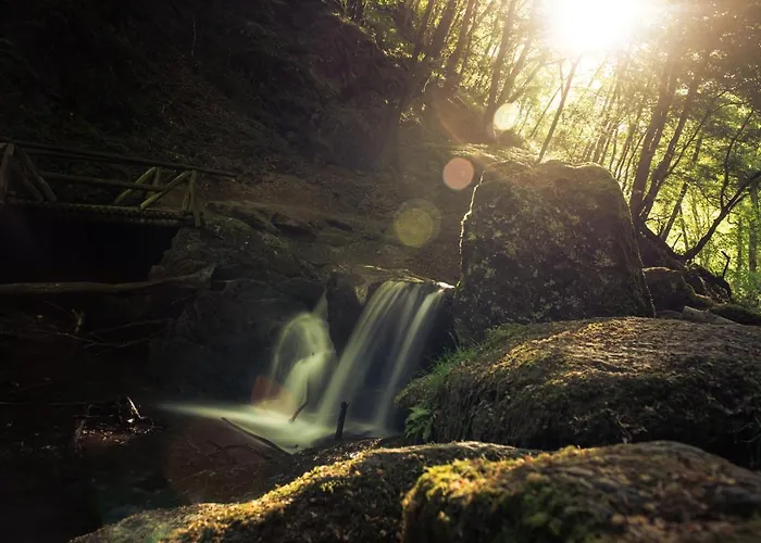 Apartamento Schoene, Geraeumige Souterrain Mit Japangarten, Kostenlos Parkplatz *